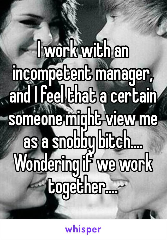 I work with an incompetent manager, and I feel that a certain someone might view me as a snobby bitch….   Wondering if we work together….