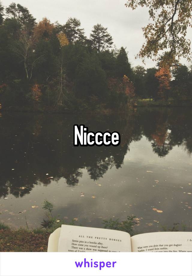 Niccce