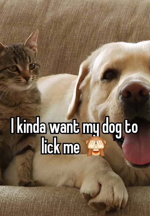 I kinda want my dog to lick me 🙈
