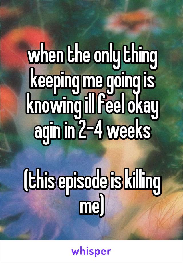 when the only thing keeping me going is knowing ill feel okay agin in 2-4 weeks

(this episode is killing me)