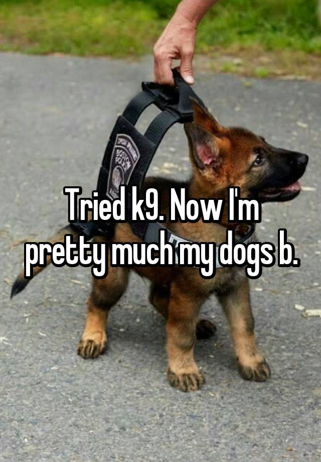 Tried k9. Now I'm pretty much my dogs b.