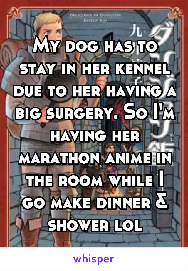 My dog has to stay in her kennel due to her having a big surgery. So I'm having her marathon anime in the room while I go make dinner & shower lol