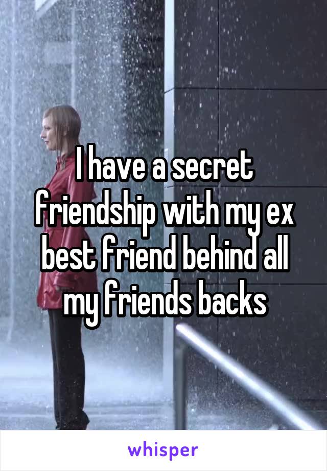 I have a secret friendship with my ex best friend behind all my friends backs