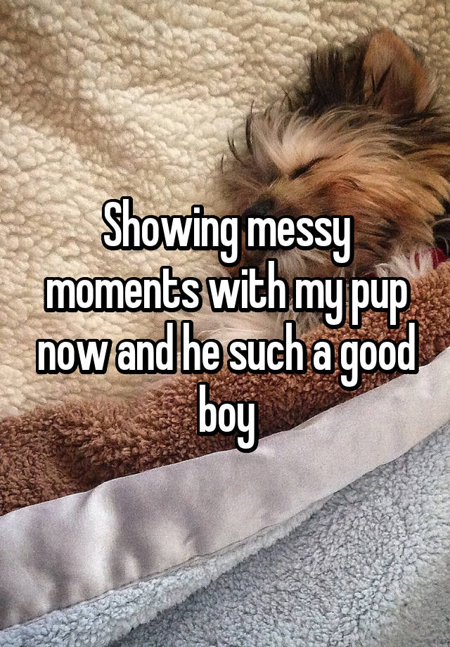 Showing messy moments with my pup now and he such a good boy