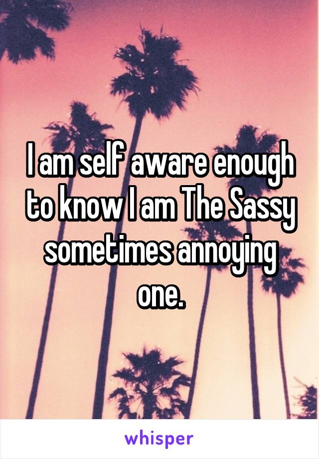 I am self aware enough to know I am The Sassy sometimes annoying one.