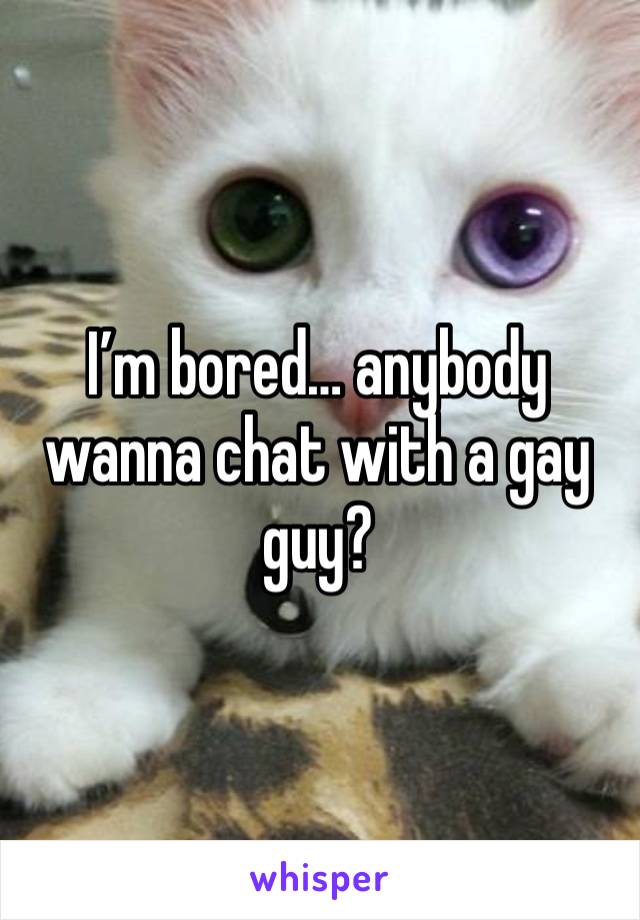 I’m bored… anybody wanna chat with a gay guy?