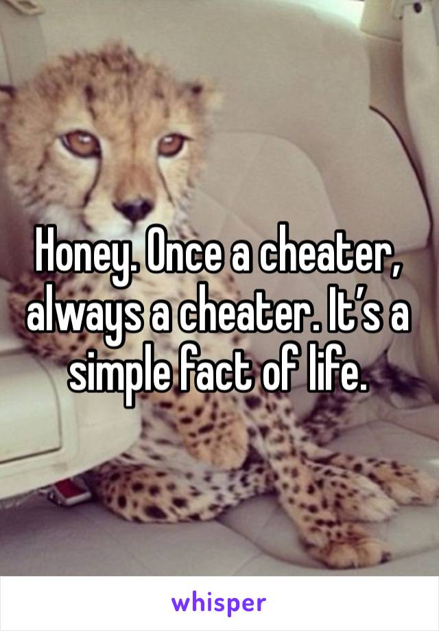 Honey. Once a cheater, always a cheater. It’s a simple fact of life.