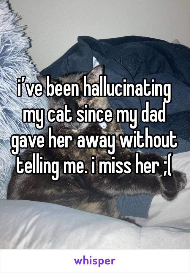 i’ve been hallucinating my cat since my dad gave her away without telling me. i miss her ;(