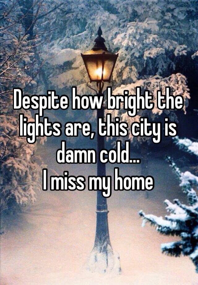 Despite how bright the lights are, this city is damn cold…
I miss my home