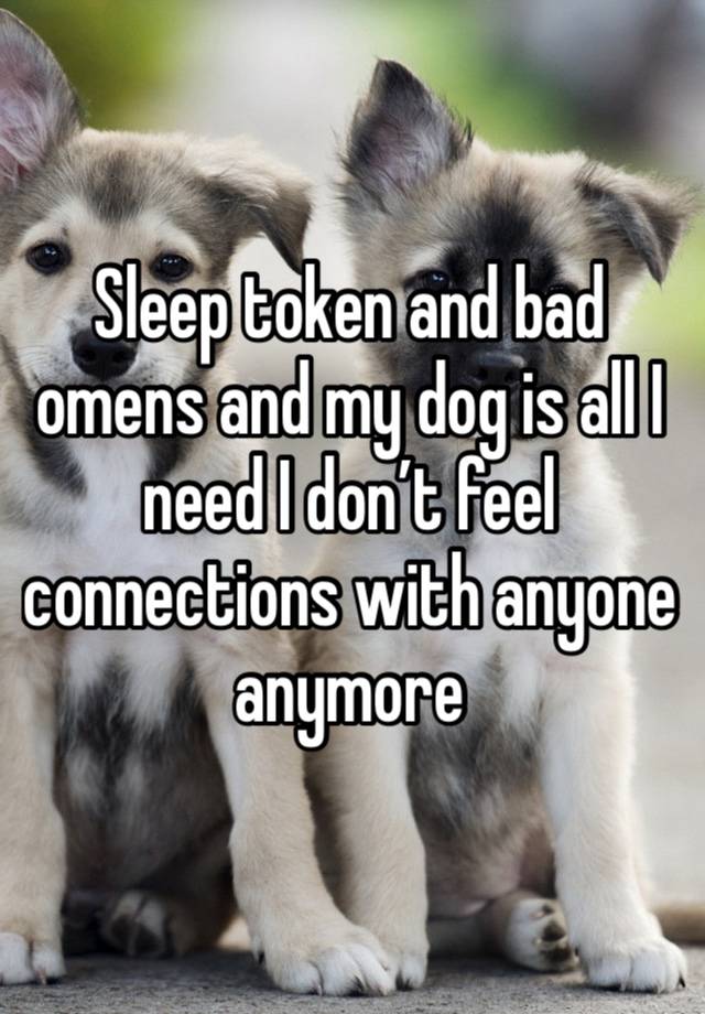 Sleep token and bad omens and my dog is all I need I don’t feel connections with anyone anymore