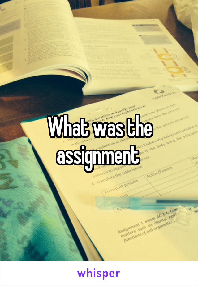 What was the assignment 