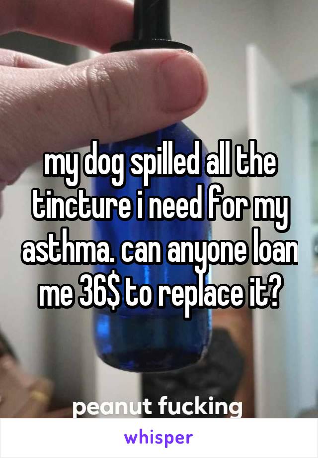 my dog spilled all the tincture i need for my asthma. can anyone loan me 36$ to replace it?