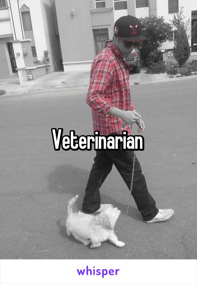 Veterinarian 