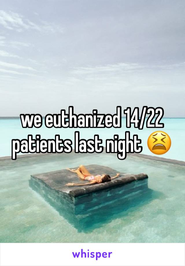 we euthanized 14/22 patients last night 😫