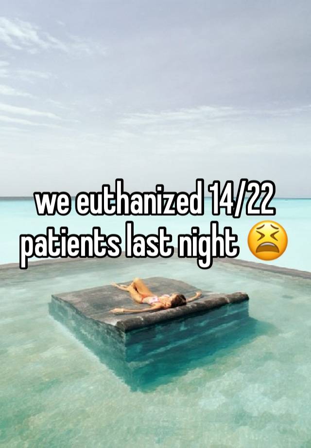 we euthanized 14/22 patients last night 😫