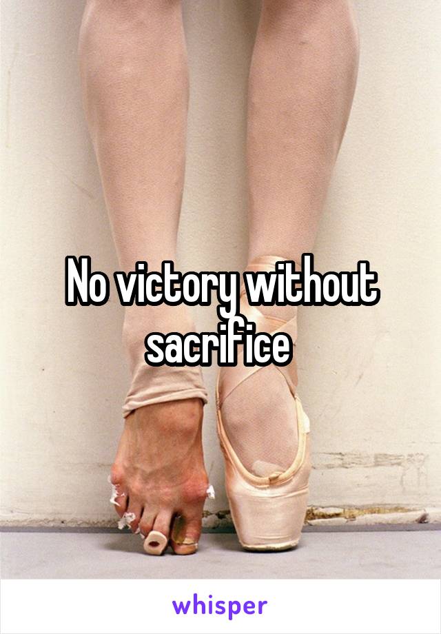 No victory without sacrifice 