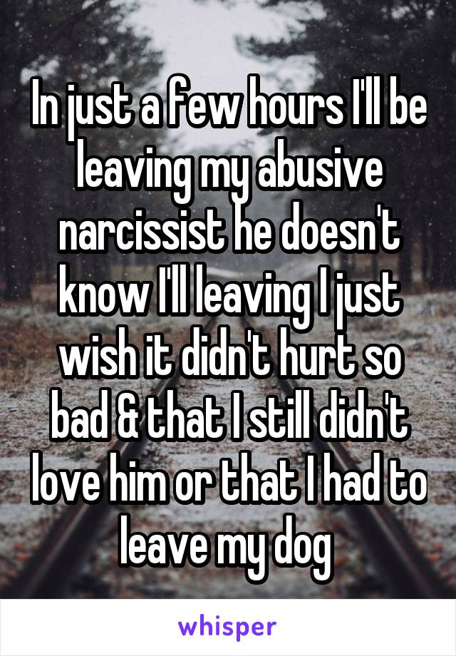 In just a few hours I'll be leaving my abusive narcissist he doesn't know I'll leaving I just wish it didn't hurt so bad & that I still didn't love him or that I had to leave my dog 