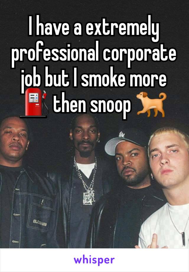 I have a extremely professional corporate job but I smoke more ⛽️ then snoop 🐕 