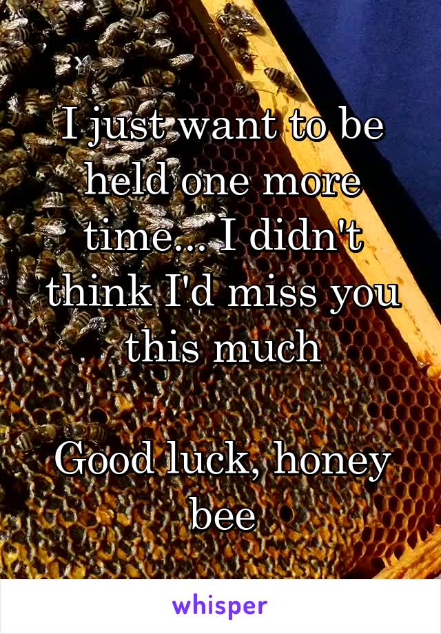 I just want to be held one more time... I didn't think I'd miss you this much

Good luck, honey bee