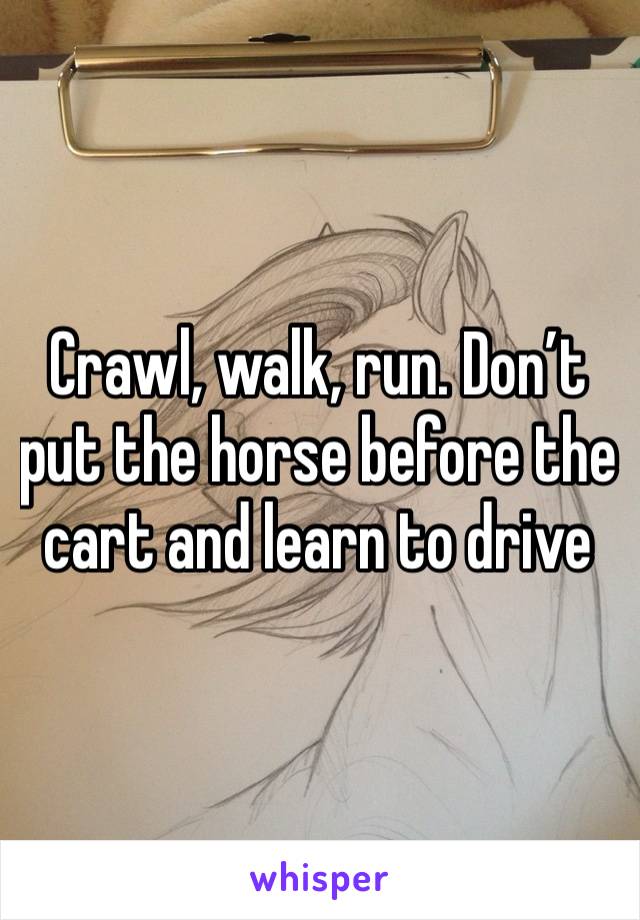 Crawl, walk, run. Don’t put the horse before the cart and learn to drive 