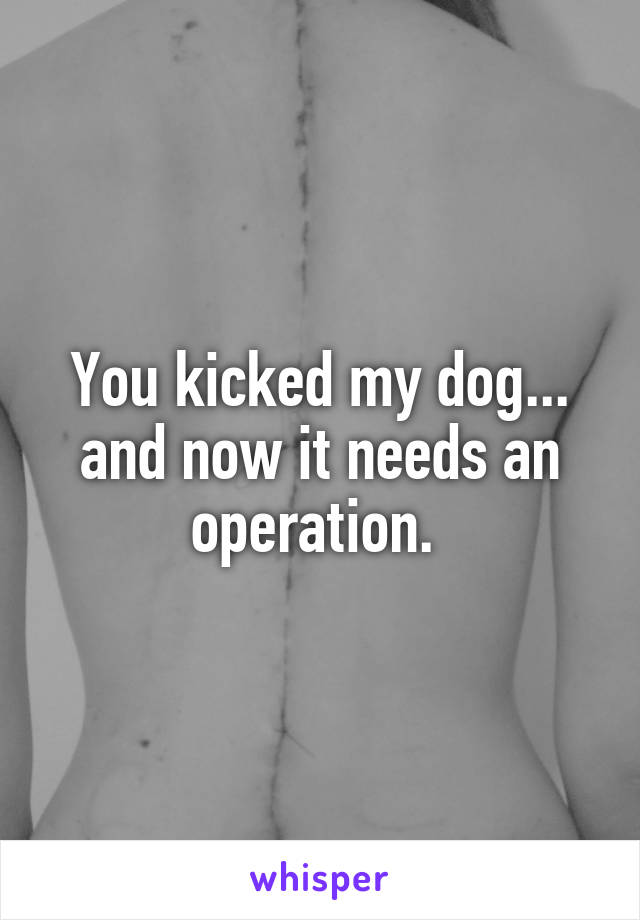 You kicked my dog... and now it needs an operation. 