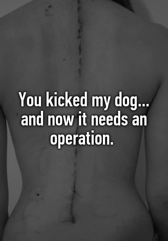 You kicked my dog... and now it needs an operation. 