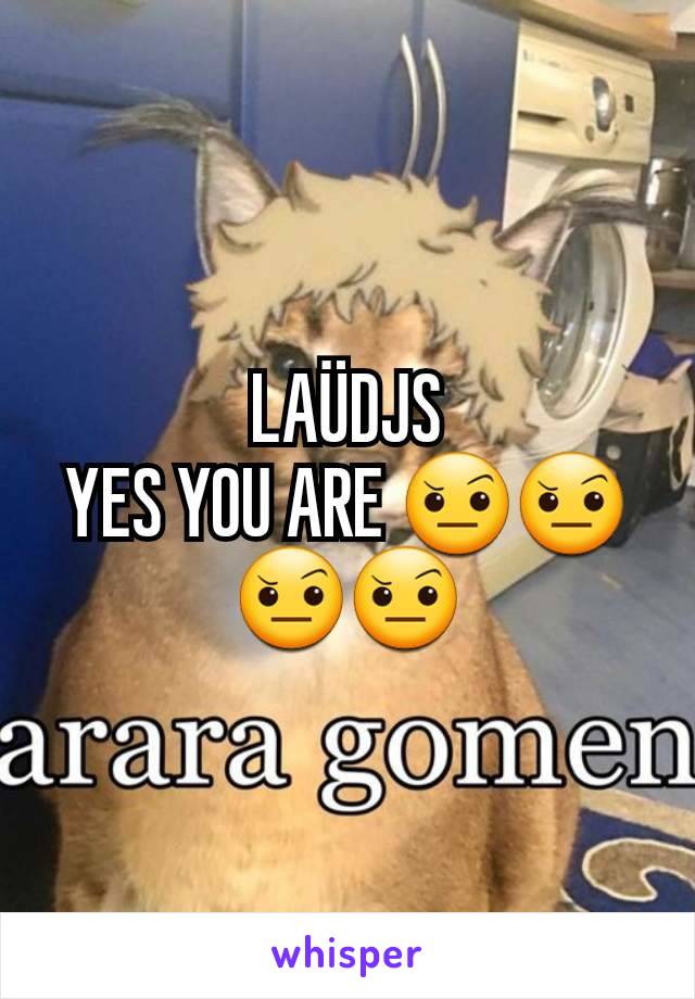 LAÜDJS
YES YOU ARE 🤨🤨🤨🤨