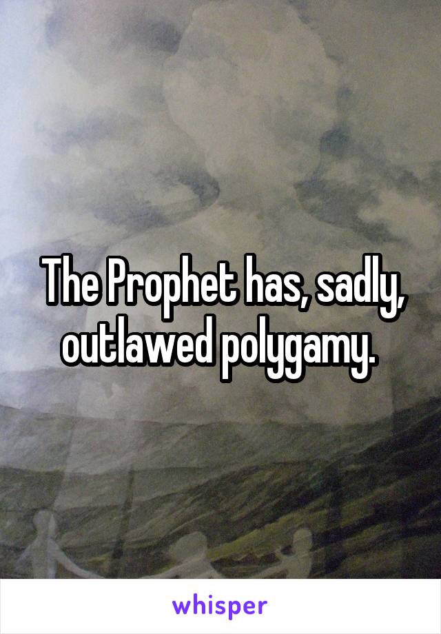 The Prophet has, sadly, outlawed polygamy. 