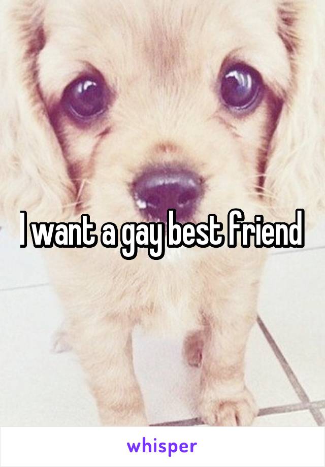 I want a gay best friend 