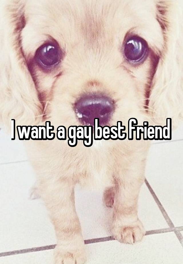 I want a gay best friend 