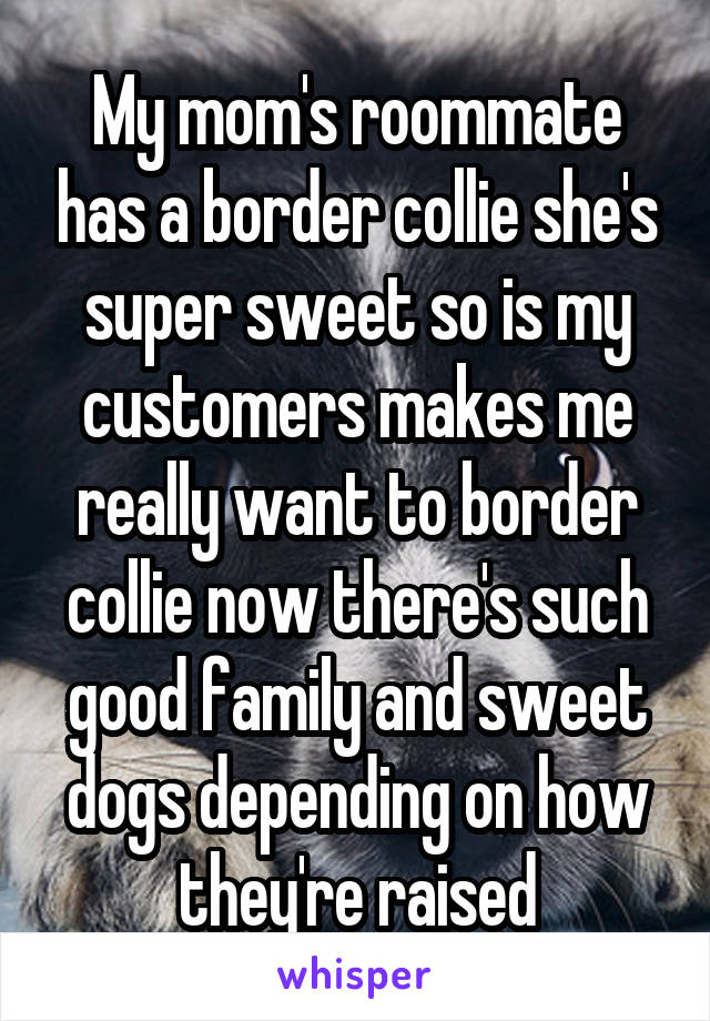My mom's roommate has a border collie she's super sweet so is my customers makes me really want to border collie now there's such good family and sweet dogs depending on how they're raised