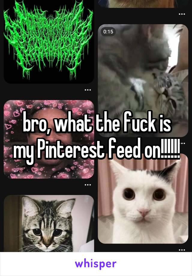 bro, what the fuck is my Pinterest feed on!!!!!!