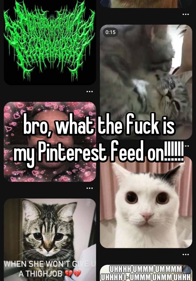 bro, what the fuck is my Pinterest feed on!!!!!!