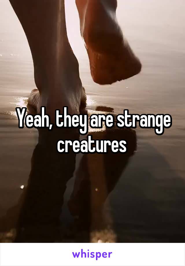 Yeah, they are strange creatures 