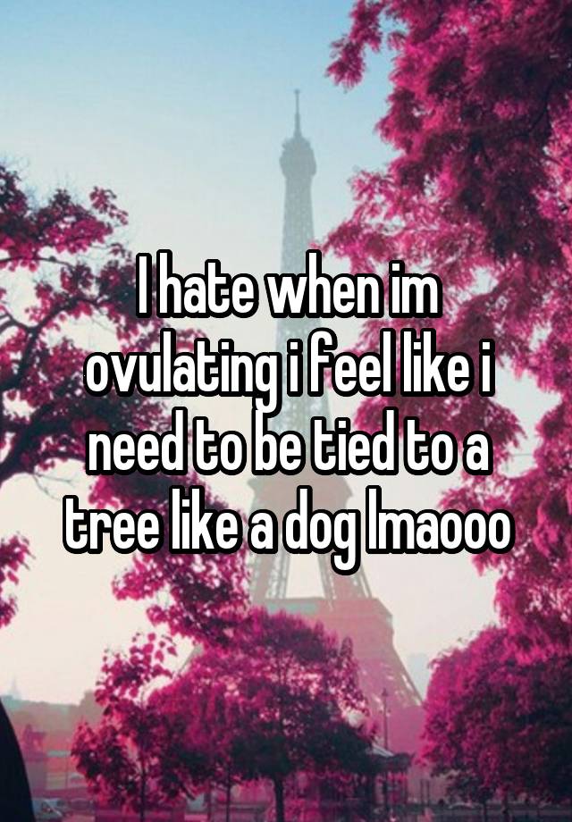 I hate when im ovulating i feel like i need to be tied to a tree like a dog lmaooo