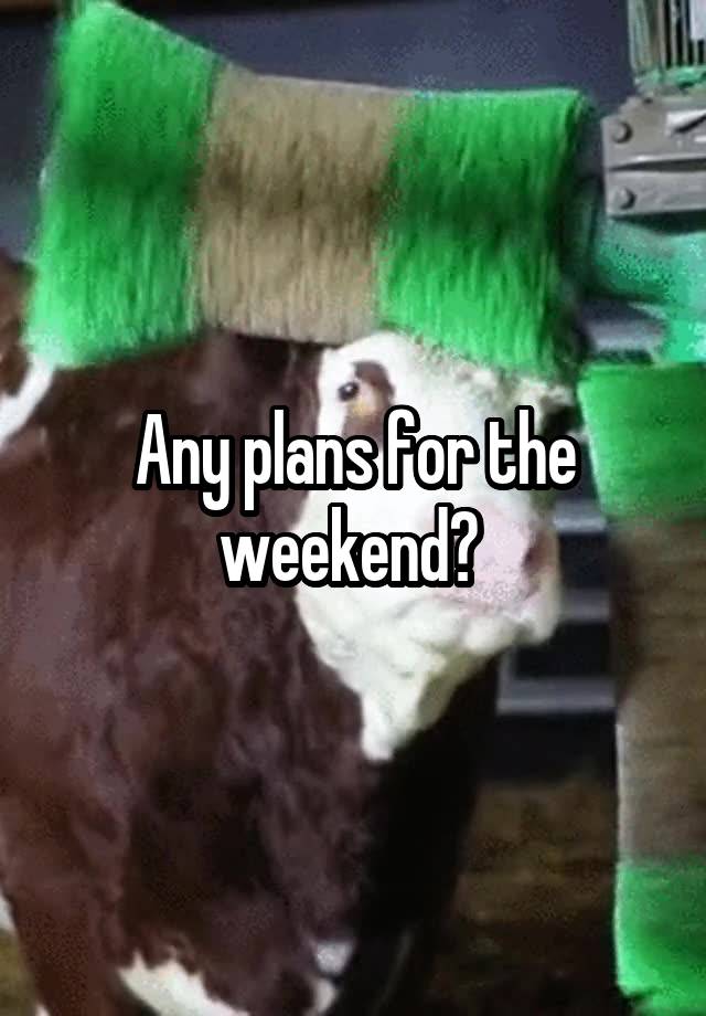 Any plans for the weekend? 