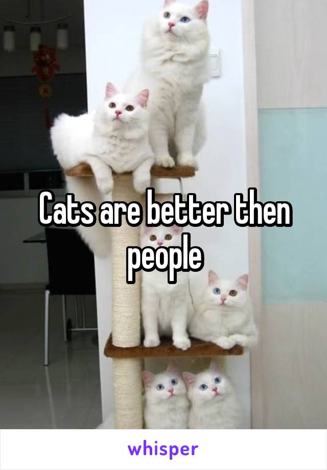Cats are better then people