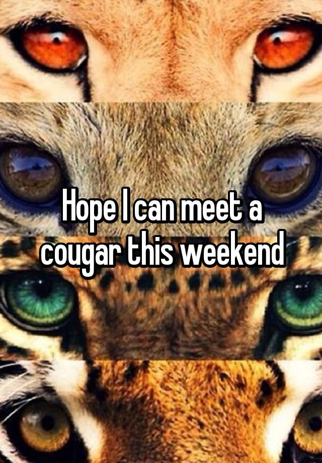 Hope I can meet a cougar this weekend