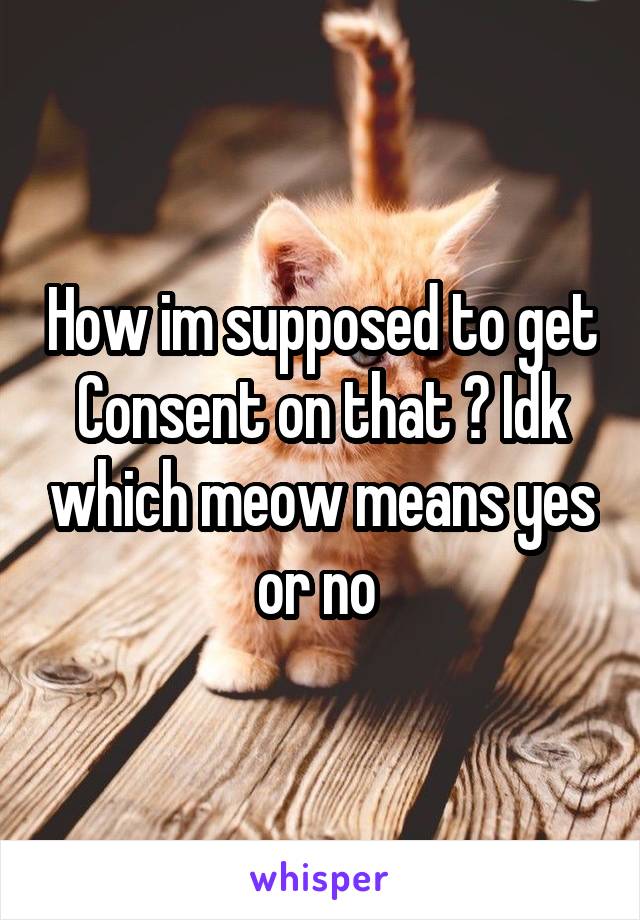 How im supposed to get Consent on that ? Idk which meow means yes or no 