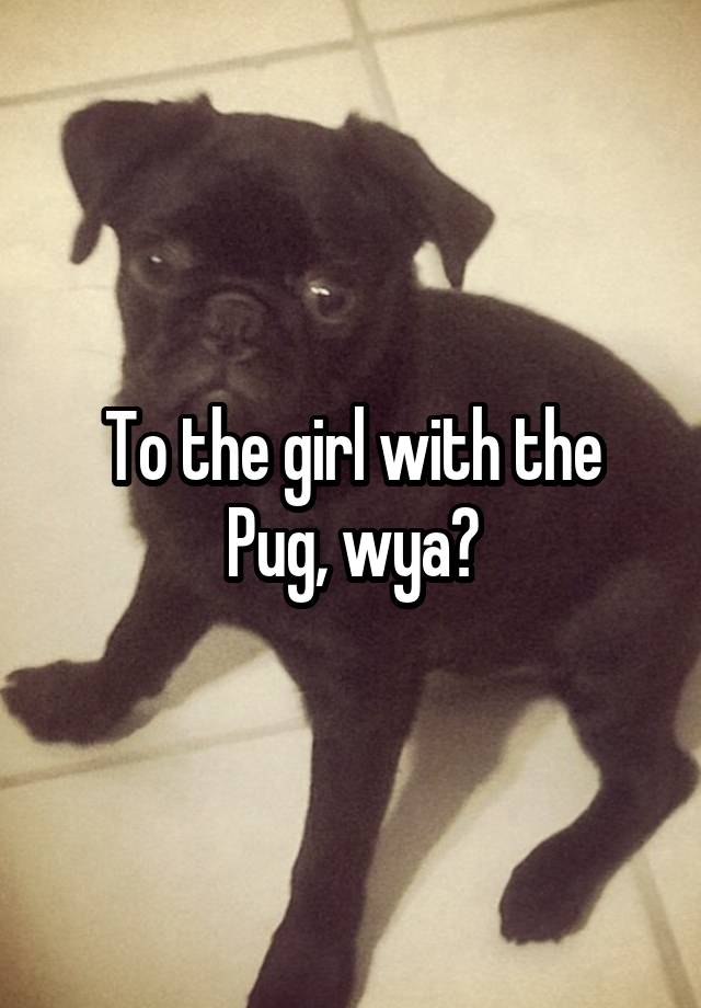 To the girl with the Pug, wya?