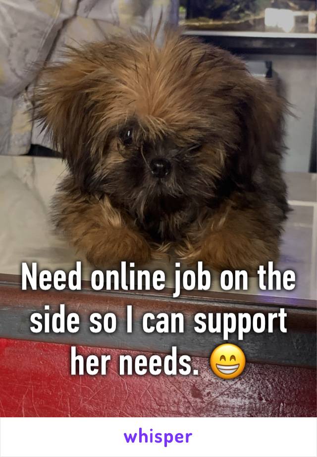 Need online job on the side so I can support her needs. 😁