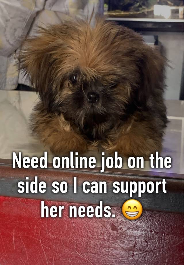 Need online job on the side so I can support her needs. 😁