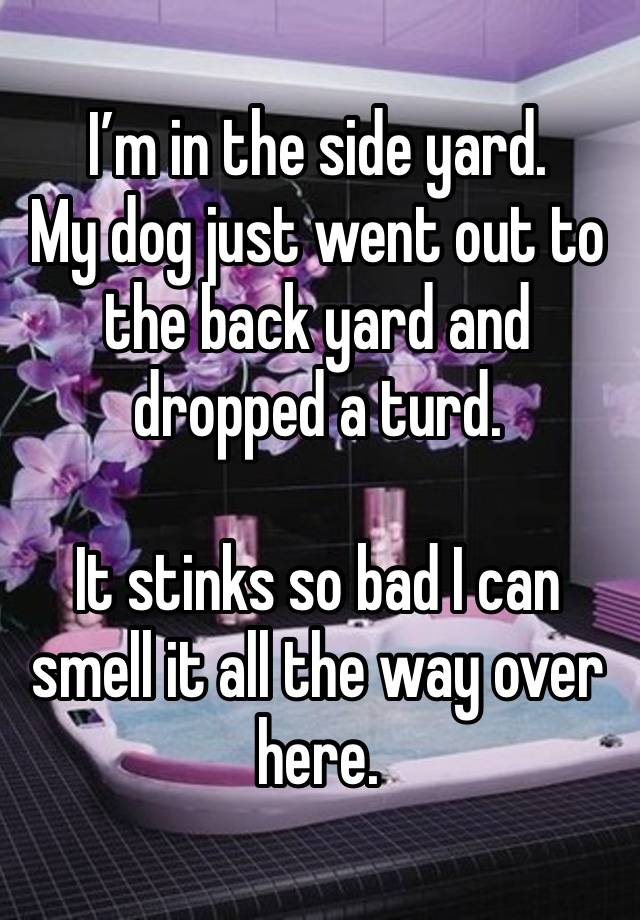I’m in the side yard.
My dog just went out to the back yard and dropped a turd.

It stinks so bad I can smell it all the way over here.