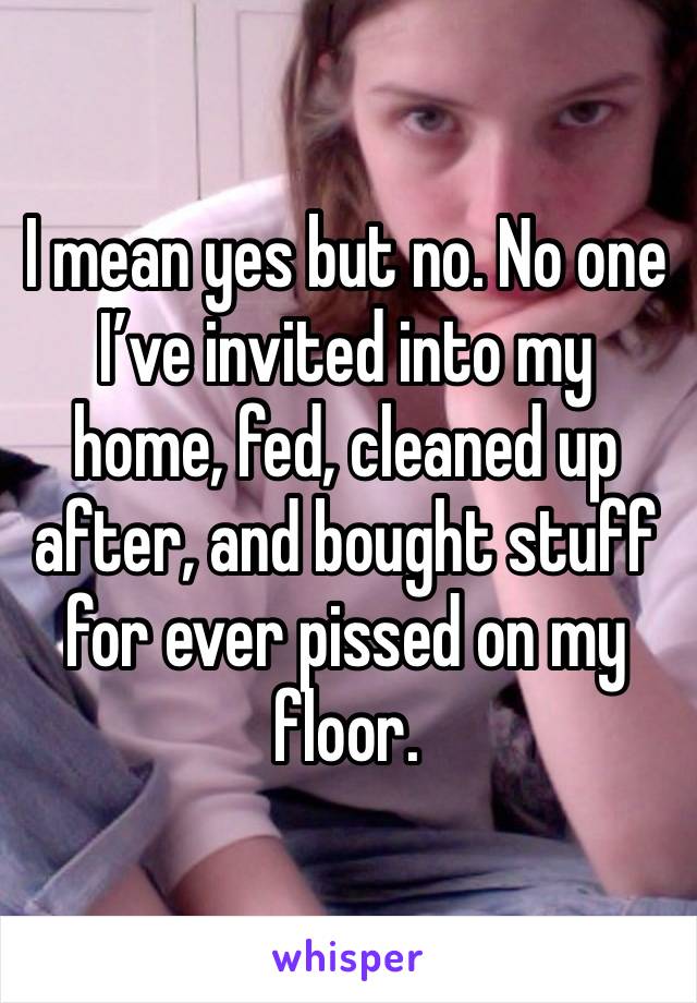 I mean yes but no. No one I’ve invited into my home, fed, cleaned up after, and bought stuff for ever pissed on my floor. 