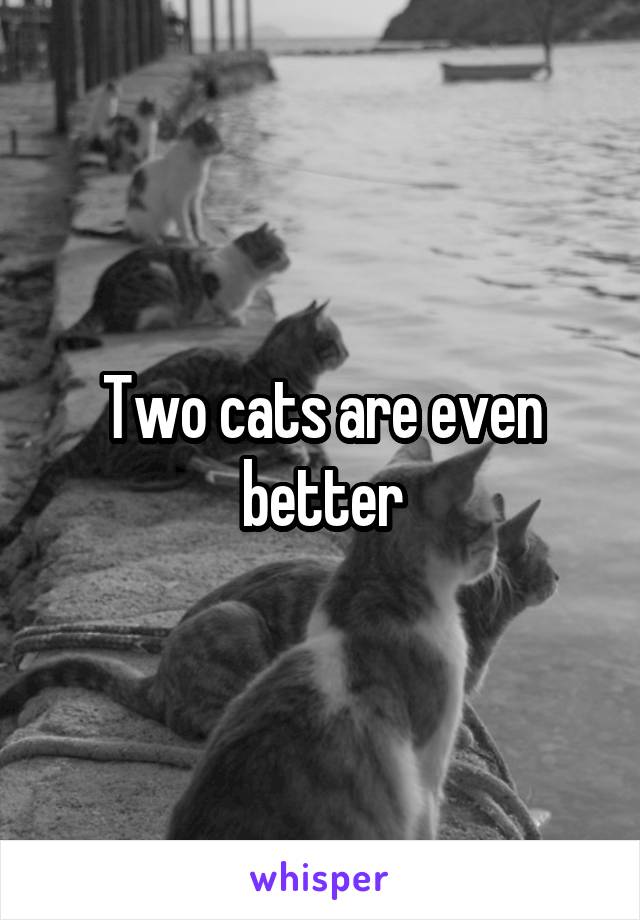 Two cats are even better