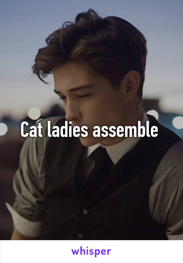 Cat ladies assemble 