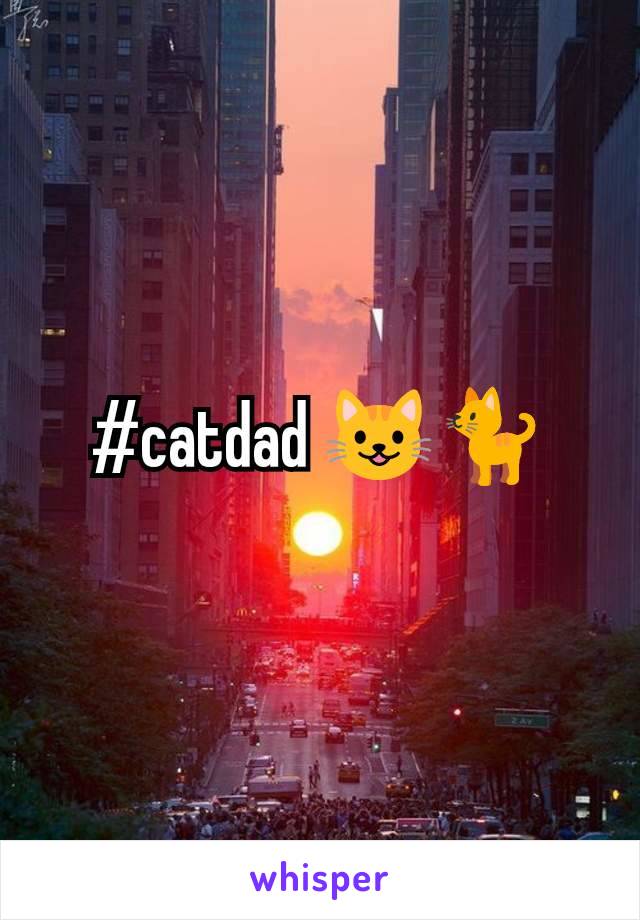 #catdad 😺🐈