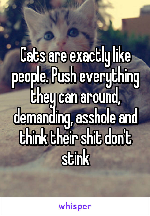 Cats are exactly like people. Push everything they can around, demanding, asshole and think their shit don't stink