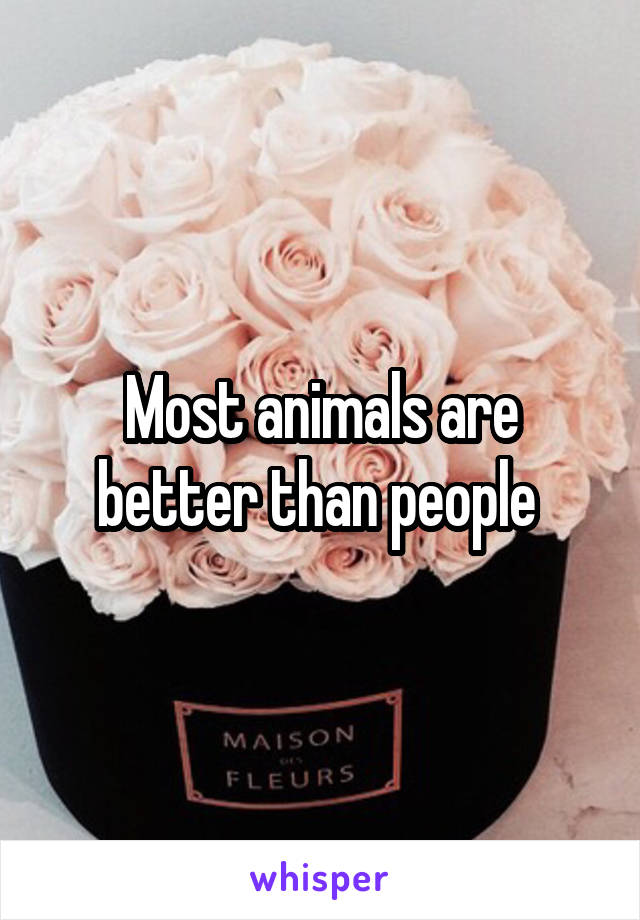 Most animals are better than people 
