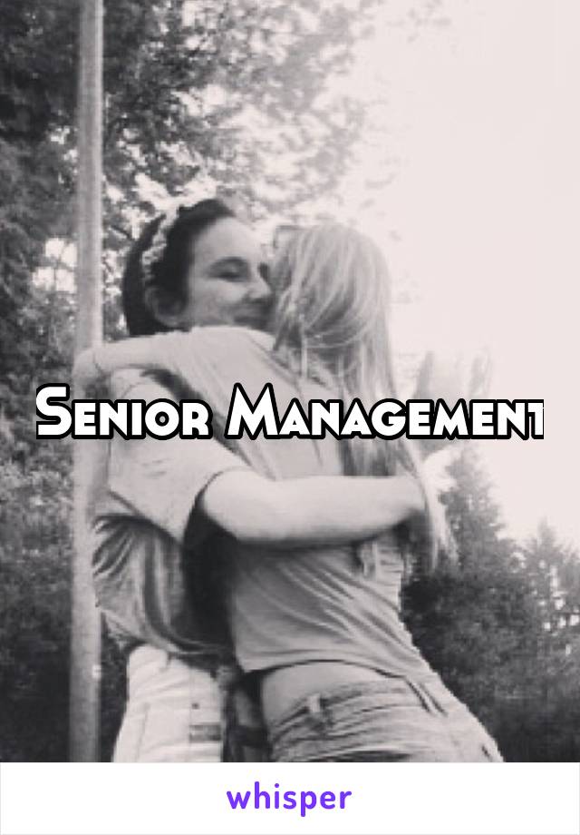 Senior Management